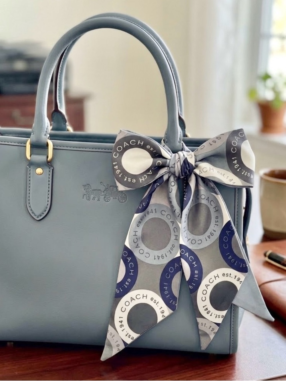 Coach Silk Skinny Bag Scarf NWOT